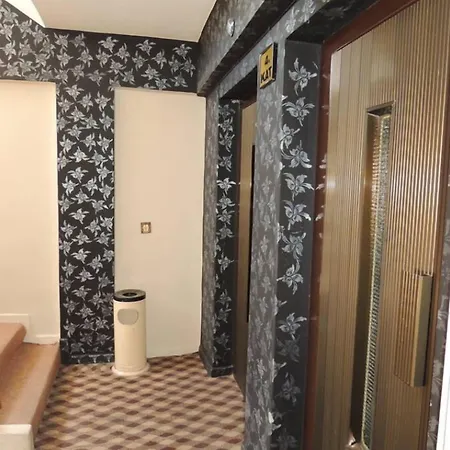 Ekinci Деницли