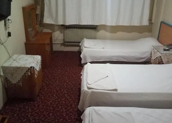 Ekinci Hotel Denizli (Denizli)