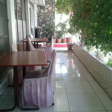 Ekinci 2*