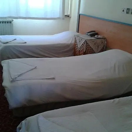 Отель Ekinci