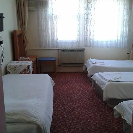 Ekinci 2* Деницли